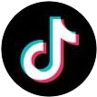 icon tiktok